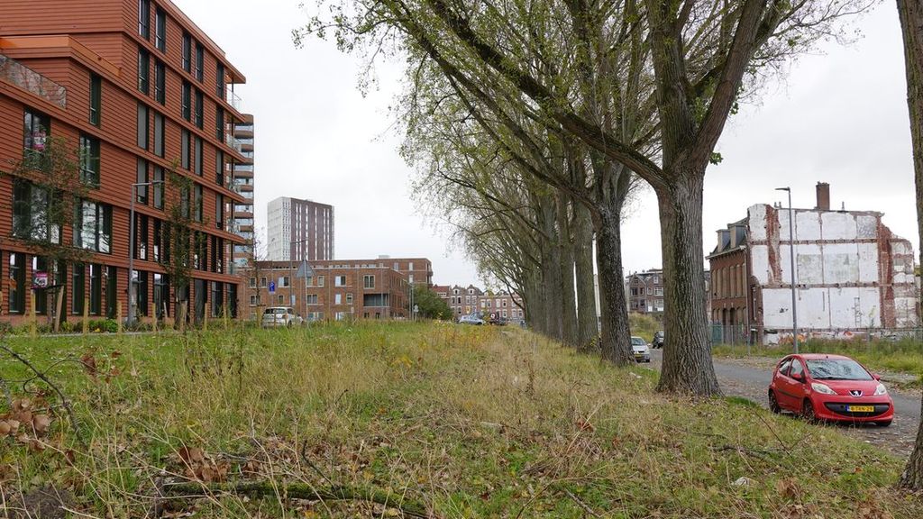 Rotterdam wil huizen bouwen, maar kan erven van grondeigenaar niet vinden