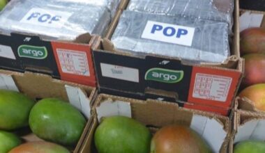 Zes jaar cel voor smokkel 1169 kilo cocaïne via Rotterdamse haven