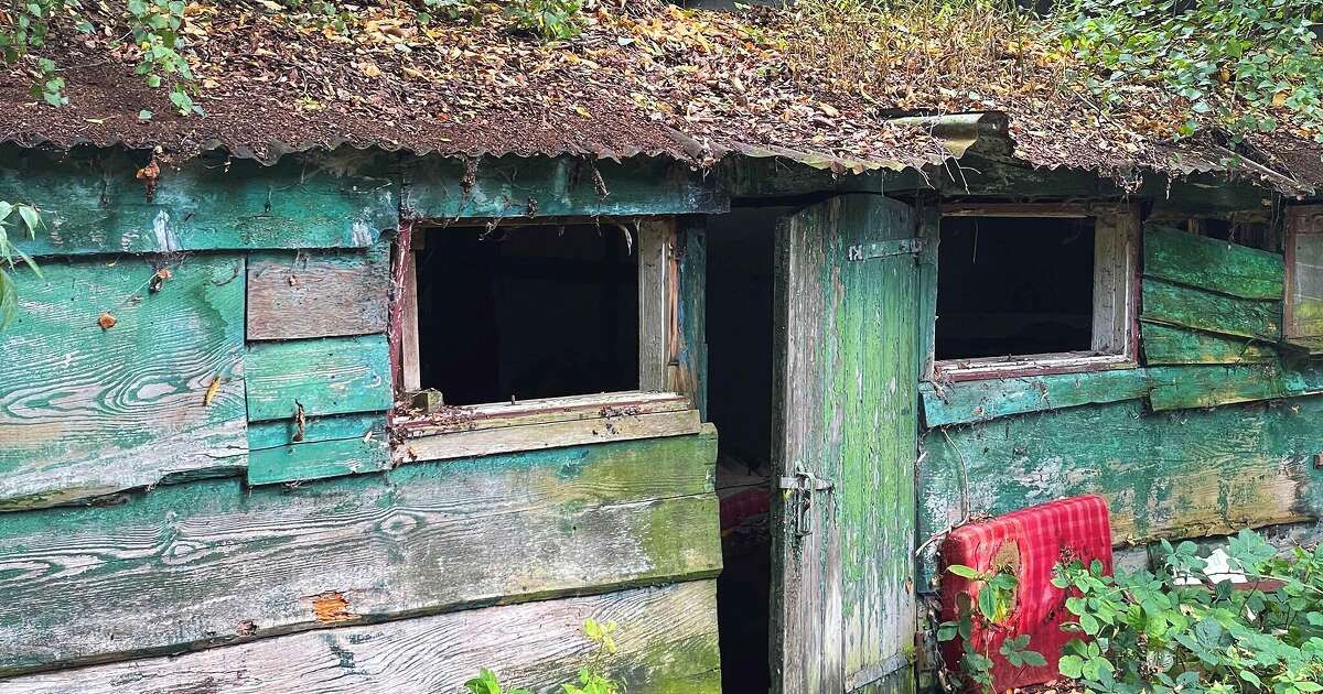 Vergankelijkheid en fotografie | DalfsenNet