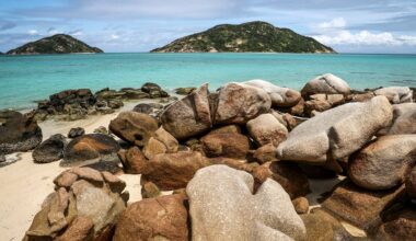 Familie van achtergelaten en overleden 80-jarige beschuldigt cruisemaatschappij