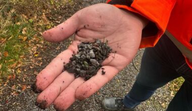 Middelburg vervangt wandelpaden wegens schadelijke staalslakken