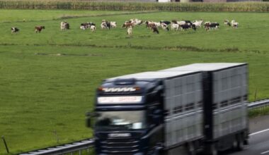 Hogere stikstofgrens wordt mogelijk stuk minder soepel