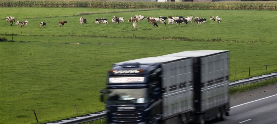 Hogere stikstofgrens wordt mogelijk stuk minder soepel