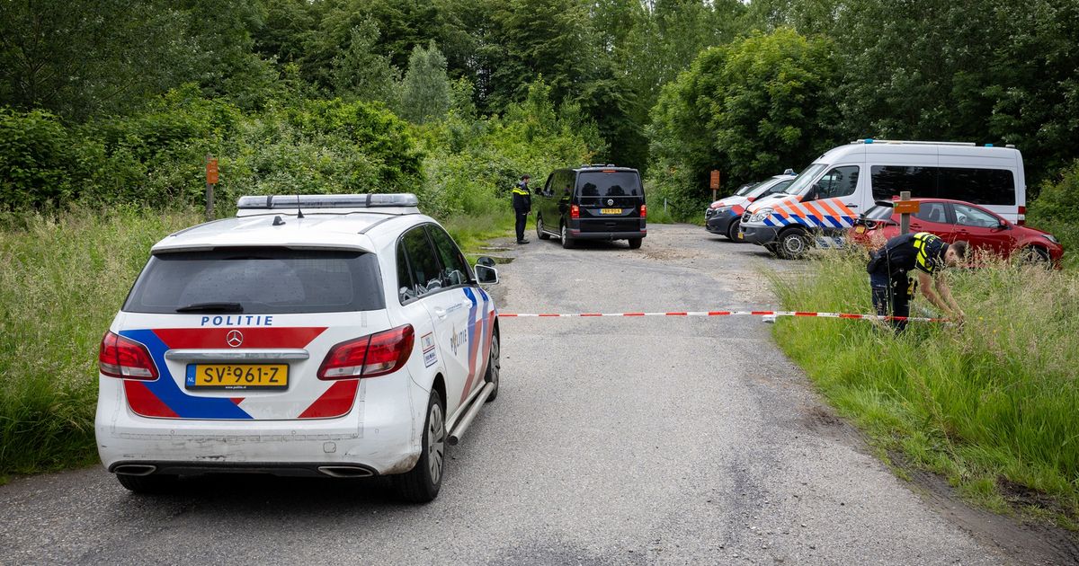 Tien jaar cel en tbs voor moord op Elise, die werd doodgestoken bij het uitlaten van haar hond - Rijnmond