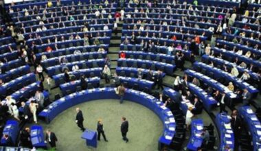 Europarlement wil verbod op termen 'veggieburger' en 'sojaworst'