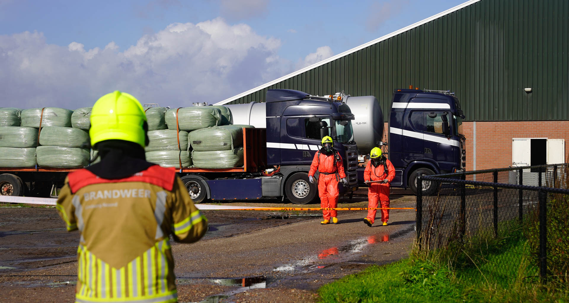 Honderden varkens overleden door mogelijk gevaarlijke stoffen in Ospel