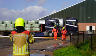 Honderden varkens overleden door mogelijk gevaarlijke stoffen in Ospel