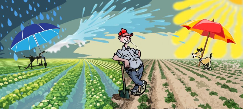 Klimaatheffing treft veehouderij zwaar, akkerbouw blijft buiten schot