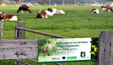 Grote rol voor agrarisch natuurbeheer in nieuw natuurplan provincies