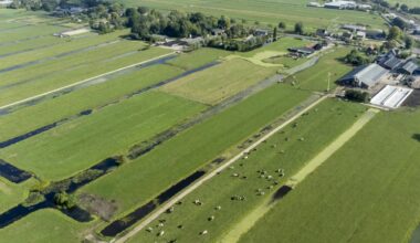 'Nieuwe regering moet lef tonen bij keuzes over toekomst landbouw'
