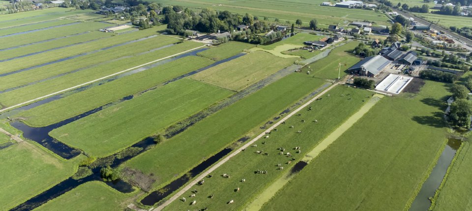 'Nieuwe regering moet lef tonen bij keuzes over toekomst landbouw'