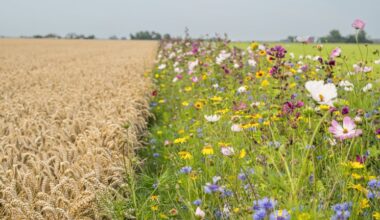 LTO noemt korting op tarieven ecoregeling onwenselijk