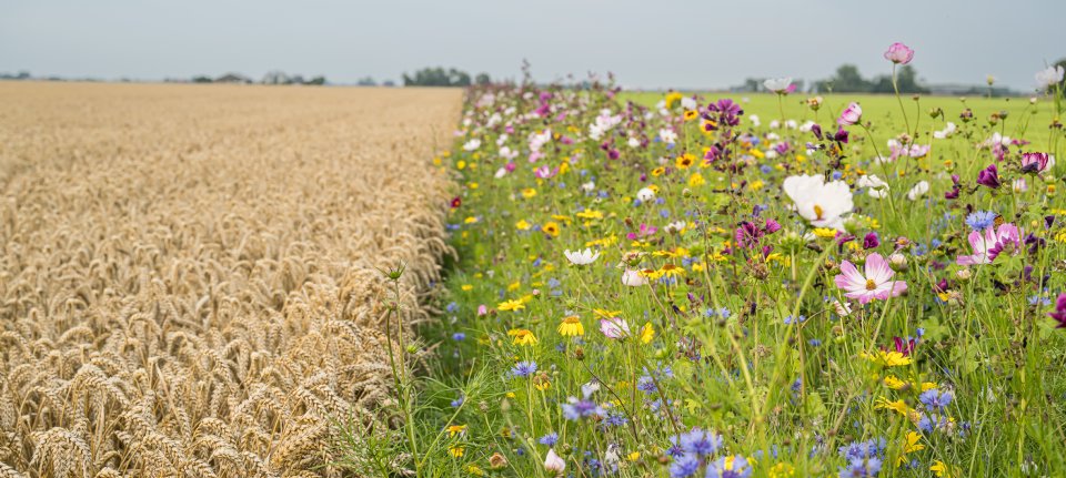 LTO noemt korting op tarieven ecoregeling onwenselijk