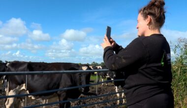 Melkveehouder Amber Laan nodigt mensen uit op haar boerderij