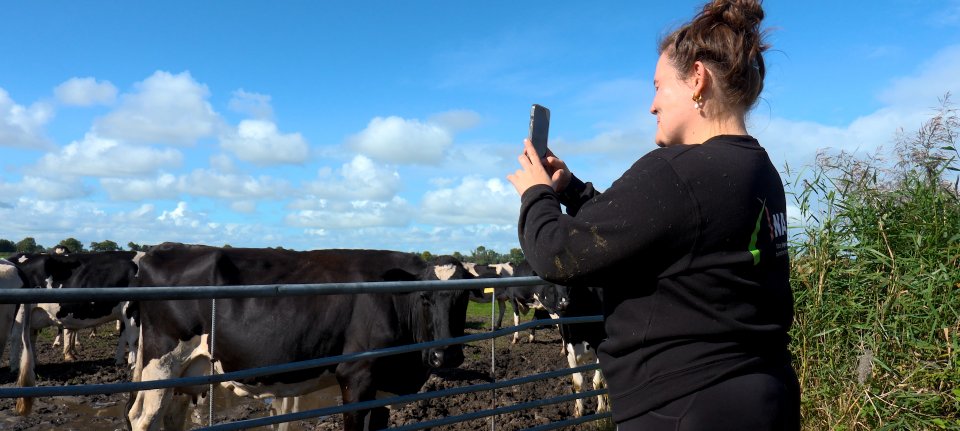 Melkveehouder Amber Laan nodigt mensen uit op haar boerderij
