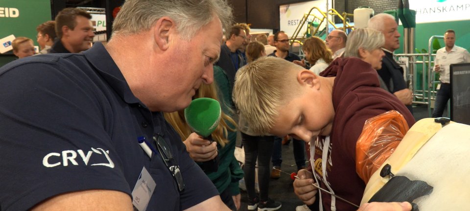 RMV: mooie koeien, cursus insemineren en trekker besturen