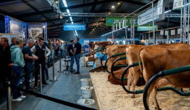 RMV Hardenberg kent recordaantal bezoekers