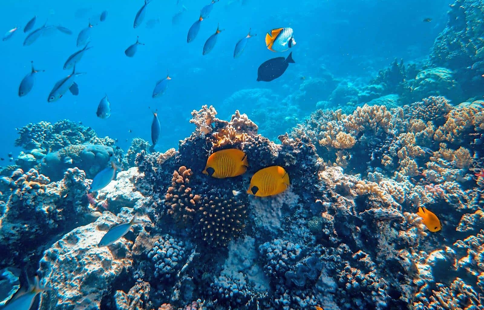 aarde bereikt eerste kantelpunt van het klimaat