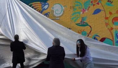 Buurtbewoners, pandeigenaar en kunstenaar: 'Muurschildering moet blijven'