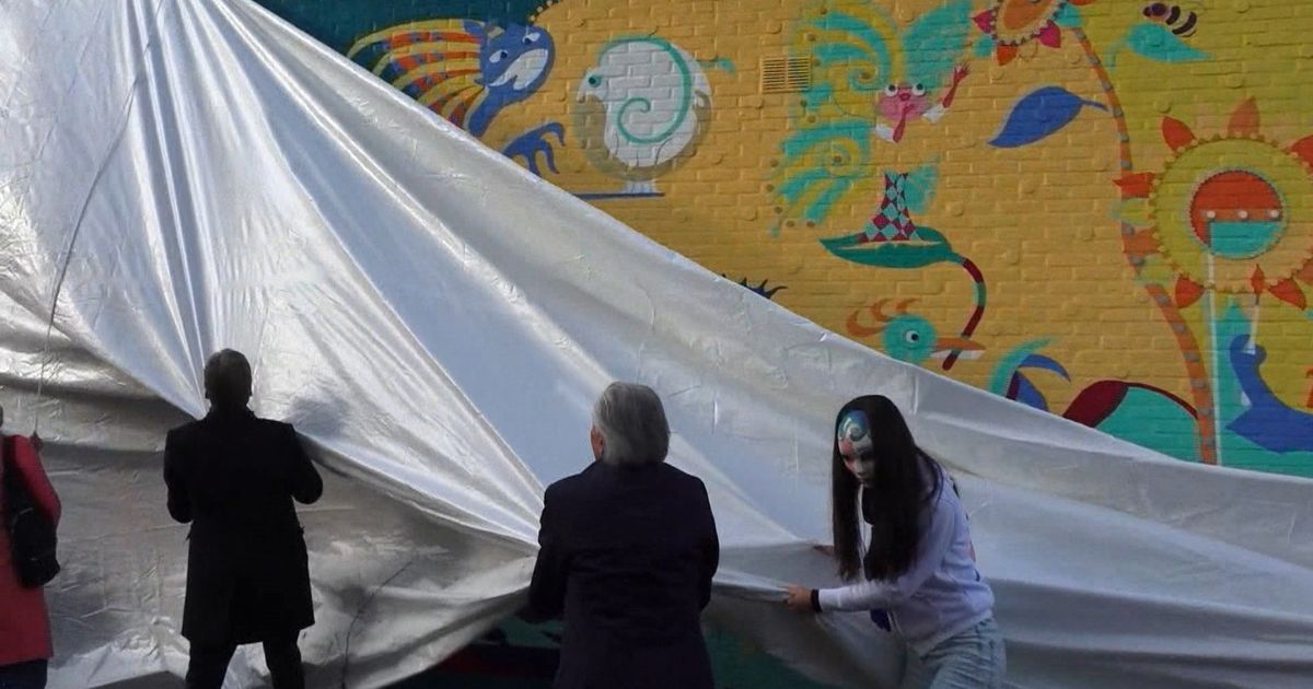 Buurtbewoners, pandeigenaar en kunstenaar: 'Muurschildering moet blijven'