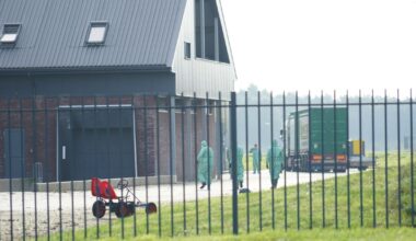 Vogelgriep schok voor omliggende bedrijven: 'Als het zo dichtbij komt, heeft dat impact'