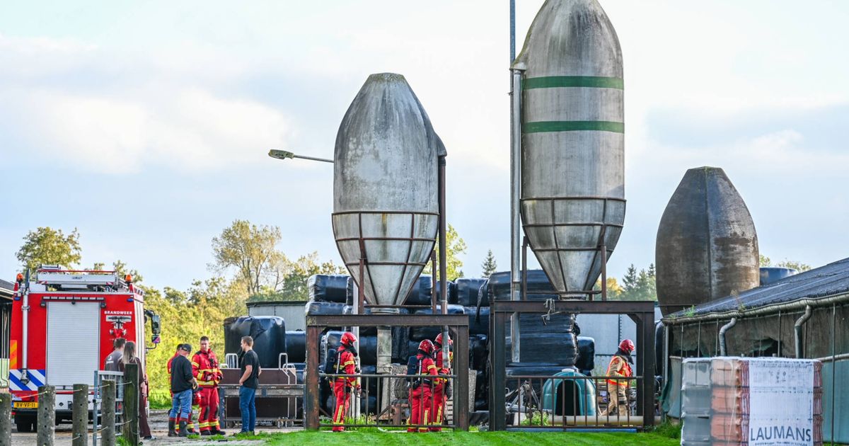 112-nieuws: Overleden persoon gevonden bij Zuurdijk • Vier aanhoudingen voor online drugshandel - RTV Noord