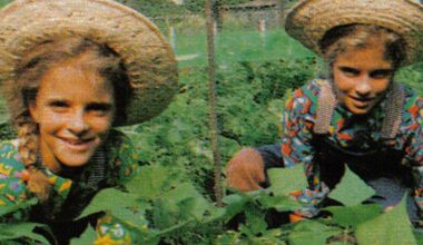 Hoe twee Friese meisjes 36 jaar geleden in het Kinderen voor Kinderen-koor terechtkwamen