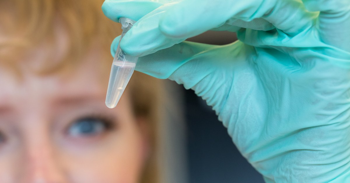Dr. Manon de Visser op het laboratorium, met een buisje waarin het DNA van een dier als 'wit wolkje' te zien is.