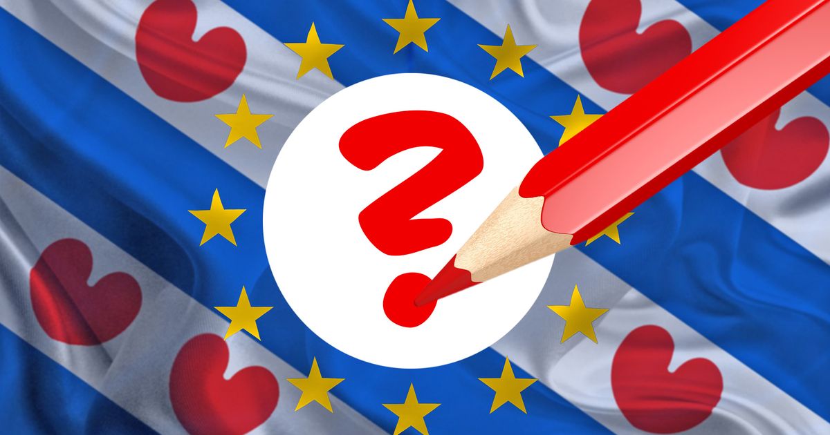 Deze thema's vinden Friezen het belangrijkst bij de komende verkiezingen