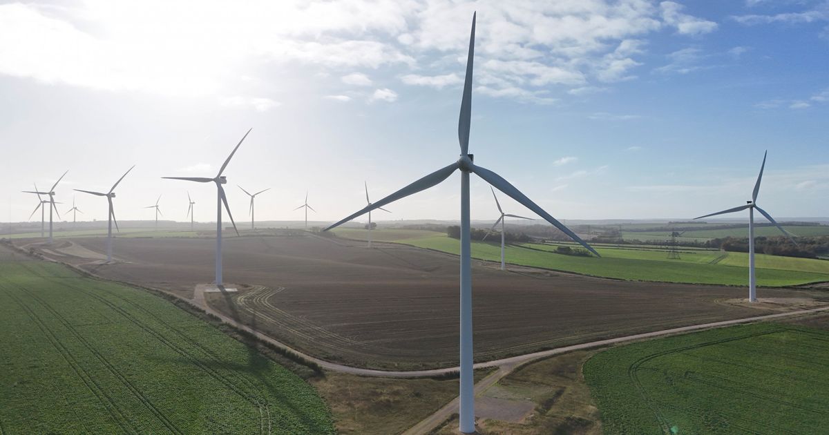 Elf plekken in het Groene Hart aangewezen voor bekritiseerde windturbines - Omroep West
