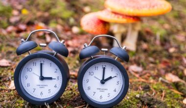 Lopend Vuur: Laten we toch stoppen met die zomer- en wintertijd - RTV Noord