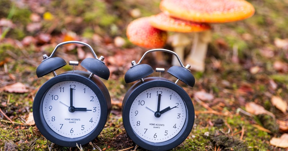 Lopend Vuur: Laten we toch stoppen met die zomer- en wintertijd - RTV Noord