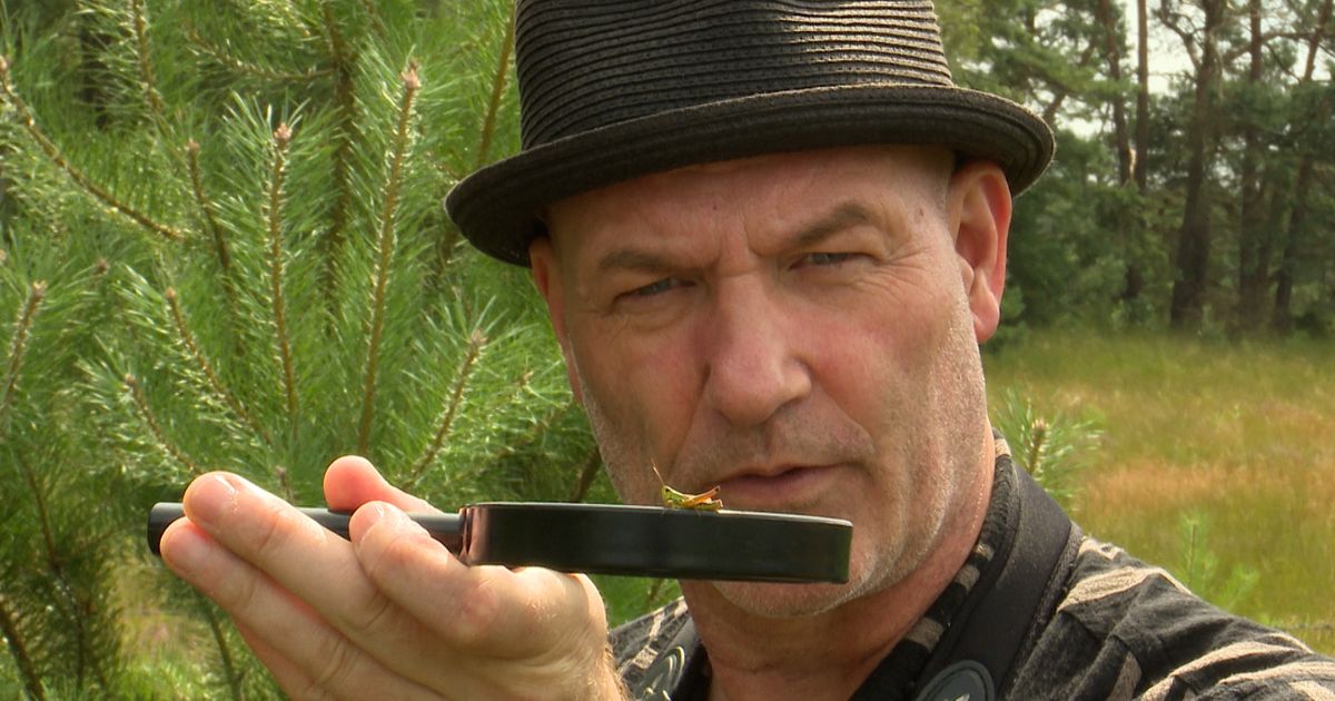 Eddy Zoëy geeft update over gezondheid: eerste operatie achter de rug - RTV Utrecht