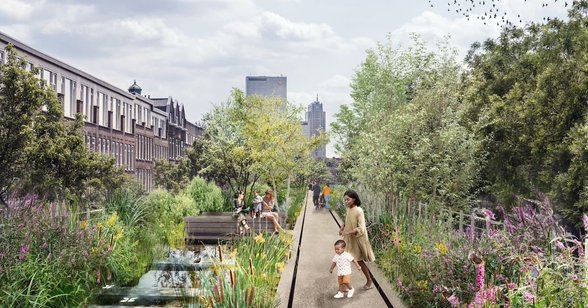 Langste dakpark van Rotterdam op lange baan, gemeente breekt met bouwers