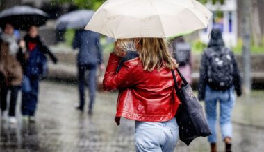 Code geel in provincie Utrecht vanwege windstoten, evenementen afgelast - RTV Utrecht