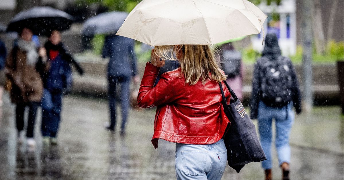 Code geel in provincie Utrecht vanwege windstoten, evenementen afgelast - RTV Utrecht