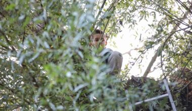 112-nieuws zaterdag 18 oktober: Brandweer haalt Jesse (9) uit hoge boom • Motorrijders gewond - RTV Noord