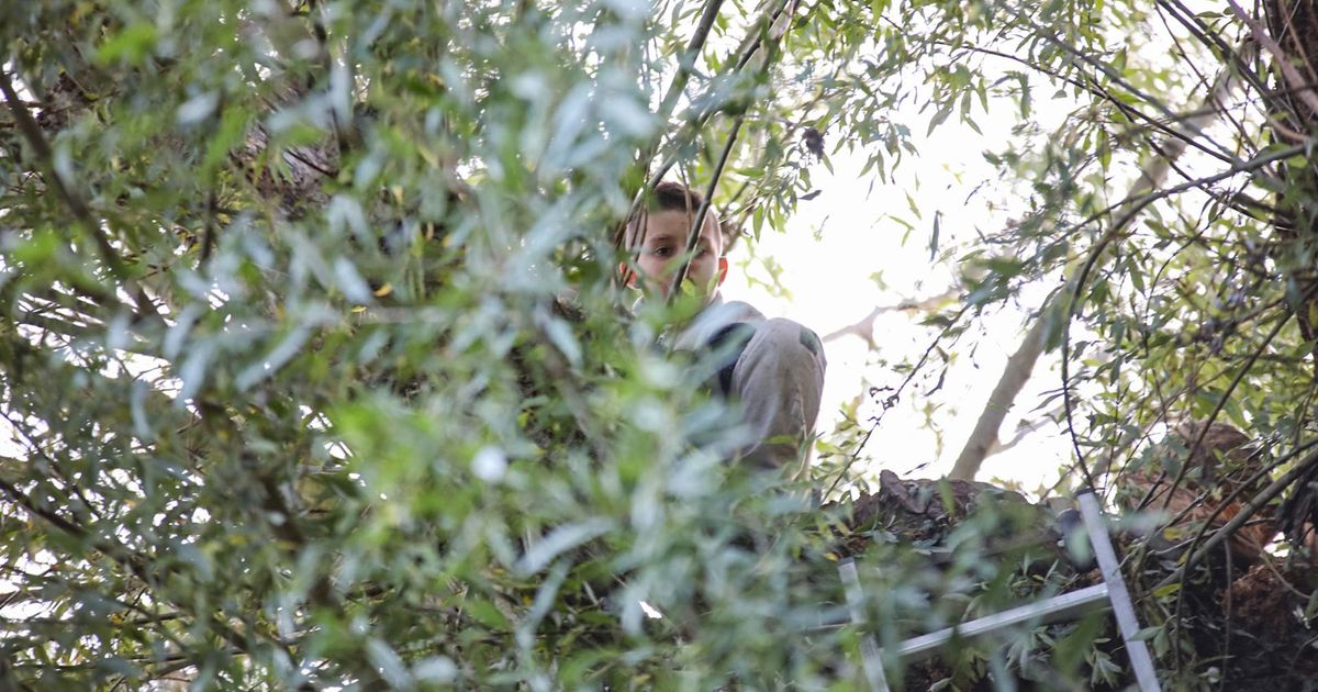 112-nieuws zaterdag 18 oktober: Brandweer haalt Jesse (9) uit hoge boom • Motorrijders gewond - RTV Noord