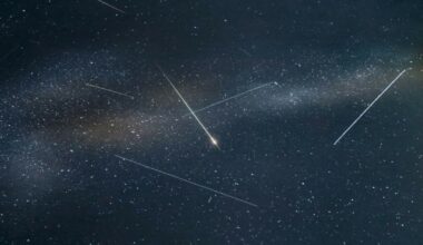 Blik omhoog! Vallende sterren op komst
