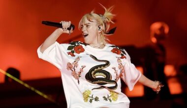 Billie Eilish omvergetrokken door fan tijdens concert: beveiliging grijpt direct in