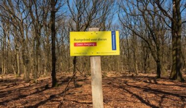 Tientallen boetes voor wolventoeristen sinds afsluiting paden natuurgebied