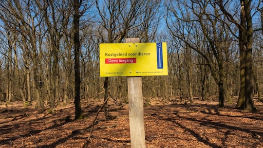 Tientallen boetes voor wolventoeristen sinds afsluiting paden natuurgebied