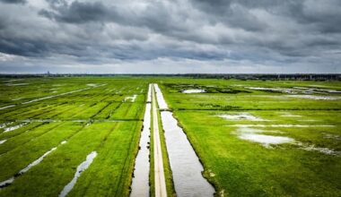 grijs en bewolkt weekend verwacht