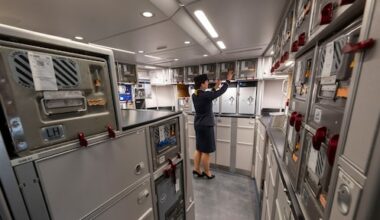 Vliegtuigpassagier steekt twee tieners met vork tijdens maaltijdservice