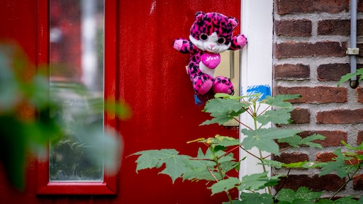 Moeder mishandeld pleegmeisje Vlaardingen stuurde appjes naar hulpverleners: 'Waarom heeft ze littekens?'