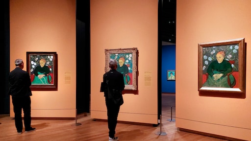 Recordaantal museumkaarten verkocht, musea nog niet uit financiële problemen