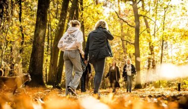 Kun je beter een paar korte wandelingen doen of het beste één lange wandeling?