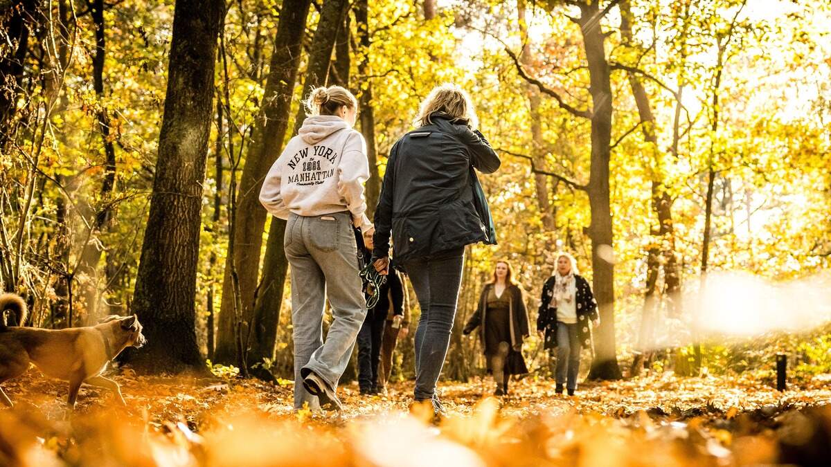 Kun je beter een paar korte wandelingen doen of het beste één lange wandeling?