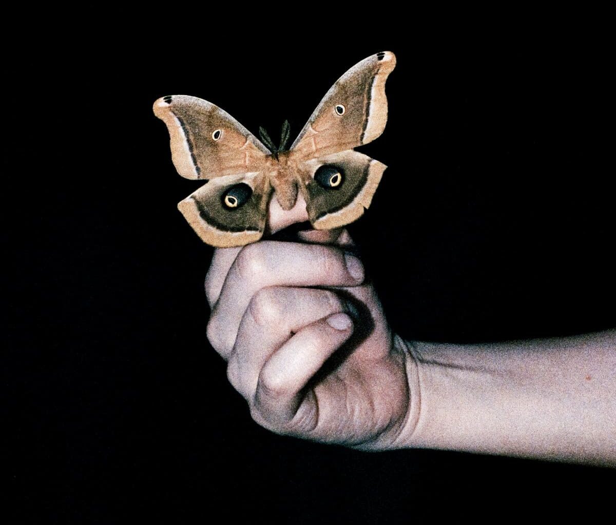 Recensie: Soulwax - All Systems Are Lying