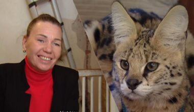 De TV van gisteren: beestenboel in Help, Mijn Man is Klusser roept veel reacties op